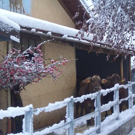 Bauernhof Azienda Agrituristica Lavage