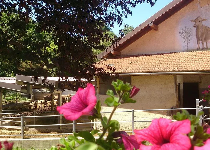Feriegård Azienda Agrituristica Lavage